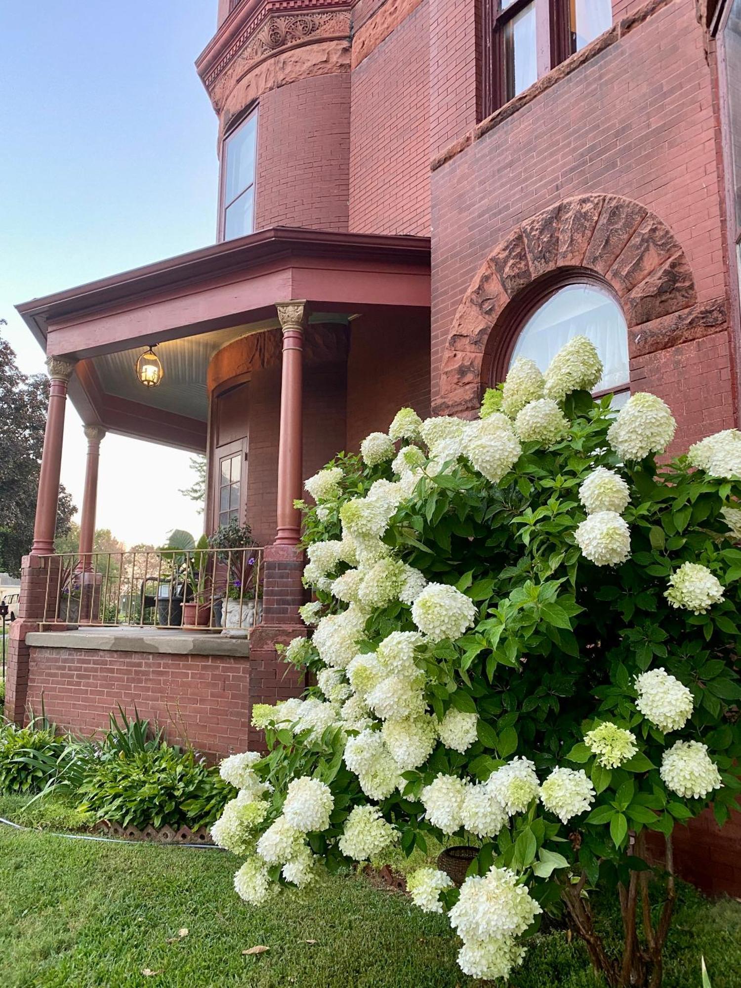 Vineyard Mansion B&B Saint Joseph Exterior foto